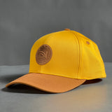 Detroit Native Limited Edition Hat (Gold/Brown)